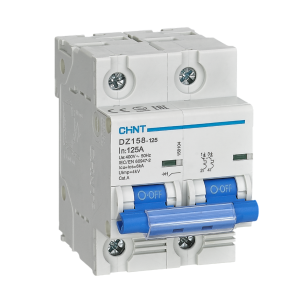 CHINT DZ158-125 High Current Double Circuit Breaker in Pakistan