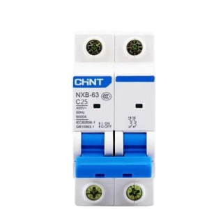 Chint NXB63-C 2 pole 6ka MCB Breaker Price in Pakistan